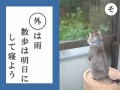 生憎の雨・・・