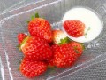 いちご狩り