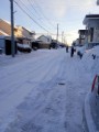 初雪初積雪