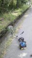 今日の仕事は…