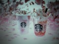 春が来た！スターバックス『さくらフル ミルク ラテ、さくらフル フラペチーノ』