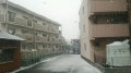 今日は朝方から雪