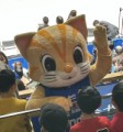 今年スポーツ観戦した？