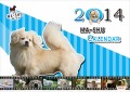 愛犬のカレンダー用表紙の完成！！！！
