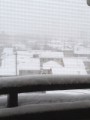 大雪警報ですね