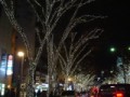 表参道のイルミネーション