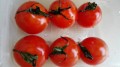 プチトマト^_−☆