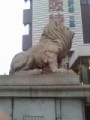 難波橋のライオン