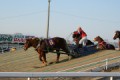 地方競馬③