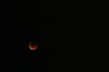 月食