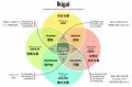日本人の人生観　IKIGAI