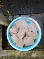 コンニャクつくり(^^♪