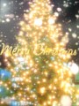 ☆Merry Christmas☆