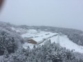 富山は雪景色！