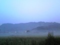朝もや。