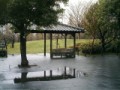 雨の公園