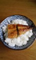 うなぎ食べましたか～～～f^_^;