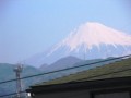 富士山、富士山、富士山。ご縁ありすぎるけど…