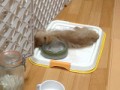 涼しくなって・・・。