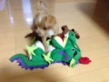 モンスターハンター４
