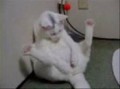 日曜の昼間から・・・。