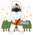 花粉症の季節ですね。。。杉がにくい