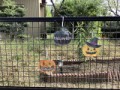 ハロウィン飾り