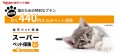 【お題日記】ペット保険加入してる？