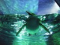 赤ちゃんできるのねぇ