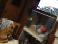 夜中にそーーっと・・・