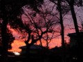 燃える夕日に･･･