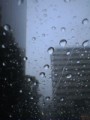 雨・・・