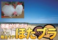 【お題日記】印象的だったヌード写真集は？