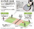 【お題日記】見るけどあまりルール分かってないスポーツ