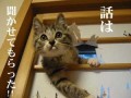 【お題日記】入れ墨、タトゥーについて、どう思う？