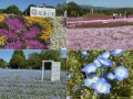 過ぎた日々も見えぬ明日も