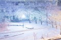 雪の東京