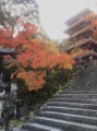 昨日の竹林寺