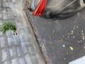 車の影に隠れて