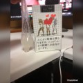 本日の射精量です