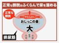 〈お漏らし体験談〉後編