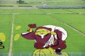 田んぼアート