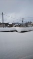 こんなに積もった！
