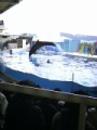 江ノ島水族館