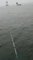 平塚湾キス釣り