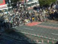 昨日の渋谷