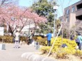 めぐ楽やくも街かど公園