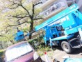 剪定作業車