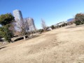 今日は公園散歩