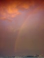 昨日の虹♪
